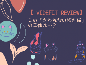 【VIDEFIT REVIEW】この「さわれない招き猫」の正体は…？